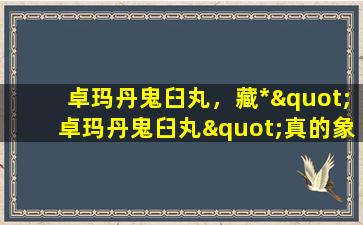 卓玛丹鬼臼丸，藏*"卓玛丹鬼臼丸"真的象他们介绍的那么好吗插图